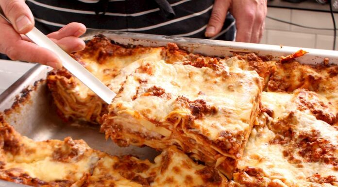 Help! My Dog Ate Lasagna – Should I Be Worried? (Complete Safety Guide)