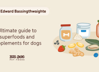 What Are The 3 Super Foods For Dogs? Ultimate Guide to Boosting Your Pup’s Health 17 Human Superfoods for Dogs: A Checklist