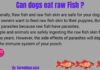 Can Dogs Eat Raw Fish Heads? The Ultimate Guide to Feeding Fish to Your Furry Friend