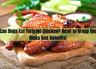 Can Your Dog Eat Teriyaki Chicken? Here’s What You Need to Know! My dog just ate some of my teriyaki chicken bowl. Is this dangerous to him?
