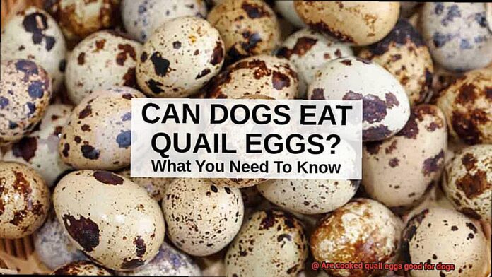 [Help] Am I allowed to feed my dog Quail eggs?