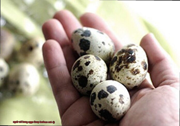 [Help] Am I allowed to feed my dog Quail eggs?