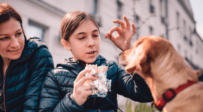 Can Dogs Eat Burritos? A Pet Parent’s Guide to Mexican Food Safety my dog just ate half of a beef burrito from taco bell