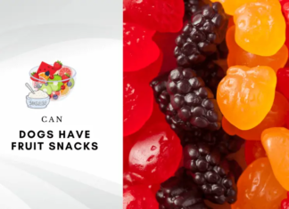 Can Dogs Safely Eat Mott’s Fruit Snacks? Here’s What Pet Parents Need to Know!