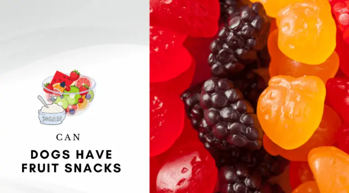 Can Dogs Safely Eat Mott’s Fruit Snacks? Here’s What Pet Parents Need to Know!