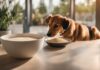 Can Puppies Have Oat Milk? Everything You Need to Know About This Trendy Alternative Can dogs drink oat