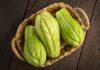 Can Dogs Eat Chayote? The Ultimate Guide to This Surprising Superfood for Your Furry Friend! My dog ate chayote squash will he be ok