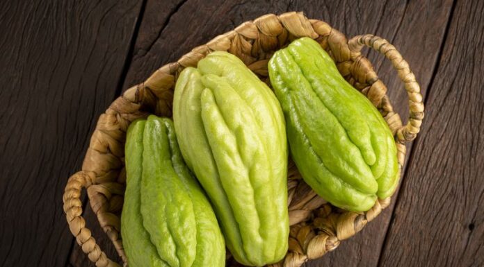 Can Dogs Eat Chayote? The Ultimate Guide to This Surprising Superfood for Your Furry Friend! My dog ate chayote squash will he be ok
