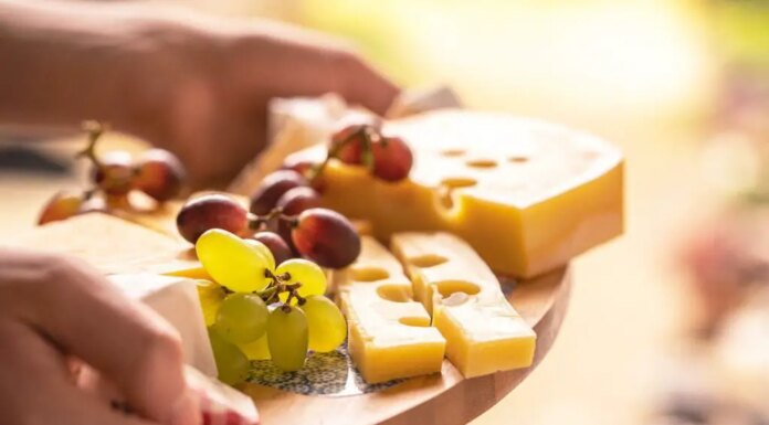 Can Dogs Eat Cheese Doodles? The Crunchy Truth About Your Pup’s Snack Obsession! Can dogs eat cheese balls