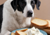 Can Dogs Eat Ricotta Cheese? The Ultimate Guide to Treating Your Furry Friend! RICOTTA CHEESE HAS INSPIRED MY DOGS