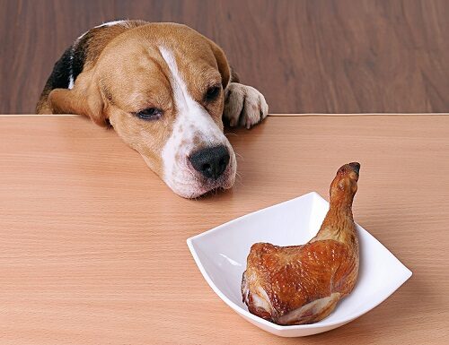 Is Teriyaki Sauce Safe for Dogs? A Pet Parent’s Complete Guide to Teriyaki and Your Furry Friend My dog just ate some of my teriyaki chicken bowl. Is this dangerous to him?