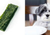 Can Dogs Eat Dried Seaweed Snacks? A Complete Guide for Pet Parents   +