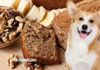 Can Dogs Eat Banana Bread With Walnuts? What You Need to Know Before Sharing Your Treat Can Dogs Eat Banana Nut Bread or Walnuts? Expert Answers