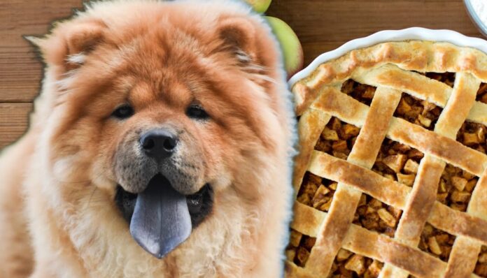 Can dogs eat apple pie?