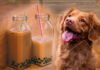 Can Dogs Have Boba? The Truth About Bubble Tea and Your Furry Friend Are tapioca pearls toxic to my dog if he eats 3 of them?