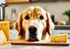 Can Dogs Eat Manchego Cheese? A Pet Parent’s Complete Guide to This Spanish Delight Can Dogs Eat Manchego Cheese? Expert Answers and Advice