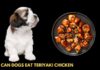 Can Dogs Eat Teriyaki Chicken? Here’s What You Need to Know Before Sharing Your Takeout! My dog just ate some of my teriyaki chicken bowl. Is this dangerous to him?