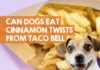 What Can Dogs Eat From Taco Bell? A Pet Parent’s Guide to Safe Fast-Food Treats Is there anything safe for dogs at Taco Bell?