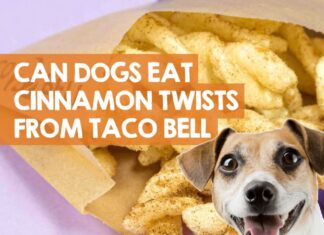What Can Dogs Eat From Taco Bell? A Pet Parent’s Guide to Safe Fast-Food Treats Is there anything safe for dogs at Taco Bell?