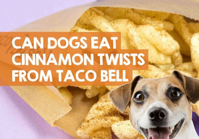 Is there anything safe for dogs at Taco Bell?