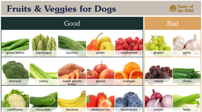 Are Fruit Snacks Safe for Dogs? The Truth About These Chewy Treats!