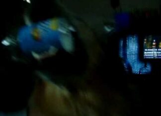 Can Dogs Drink Snapple? Here’s What You Need to Know About Giving Your Pup This Popular Drink 8 Liquids That Dogs Should Avoid