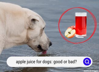 Is Apple Juice Bad for Dogs? What Every Pet Parent Should Know Can Dogs Drink Apple Juice? Vet