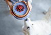 Is Cheesecake Bad for Dogs? The Sweet Truth That Might Surprise You! Is it ok if my dog ate a whole cheesecake or should I be worried?