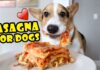 The Ultimate Guide to Making Drool-Worthy Lasagna for Your Furry Best Friend Treat Your Pup to a Homemade Meal with This Lasagna Recipe