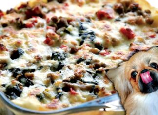 The Ultimate Homemade Dog Lasagna Recipe: Treat Your Furry Friend Like Family! Healthy Homemade Dog Treat Recipe