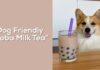 Dog Drinking Boba: The Adorable Yet Risky Trend Taking Over Social Media Boba Dog Merch & Gifts for Sale