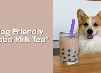 Dog Drinking Boba: The Adorable Yet Risky Trend Taking Over Social Media Boba Dog Merch & Gifts for Sale