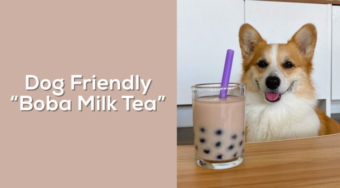 Dog Drinking Boba: The Adorable Yet Risky Trend Taking Over Social Media Boba Dog Merch & Gifts for Sale
