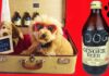 Can Dogs Have Ginger Ale? The Ultimate Guide to Giving Your Furry Friend This Fizzy Drink Can Dogs Have Ginger Ale?