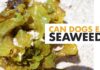 Can Dogs Have Roasted Seaweed? The Ultimate Guide to Sharing This Trendy Snack with Your Furry Friend!