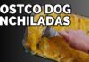 Can Dogs Eat Enchiladas? A Pet Parent’s Guide to Mexican Food Safety