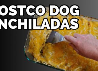 Can Dogs Eat Enchiladas? A Pet Parent’s Guide to Mexican Food Safety