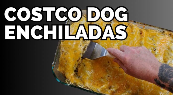 Can Dogs Eat Enchiladas? A Pet Parent’s Guide to Mexican Food Safety