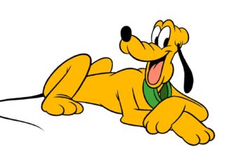 The Ultimate Guide to Puto Dogs: Everything You Never Knew You Needed to Know! Puto Dog Collar