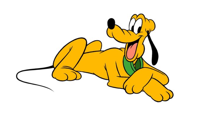 The Ultimate Guide to Puto Dogs: Everything You Never Knew You Needed to Know! Puto Dog Collar