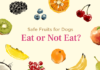 Are Fruit Snacks Bad for Dogs? The Truth About These Sweet Treats