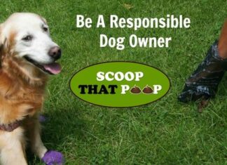 How Do Dogs Help the Environment: The Incredible Impact of Our Four-Legged Eco-Warriors Using Dogs For Conservation (and how science is always full of surprises)