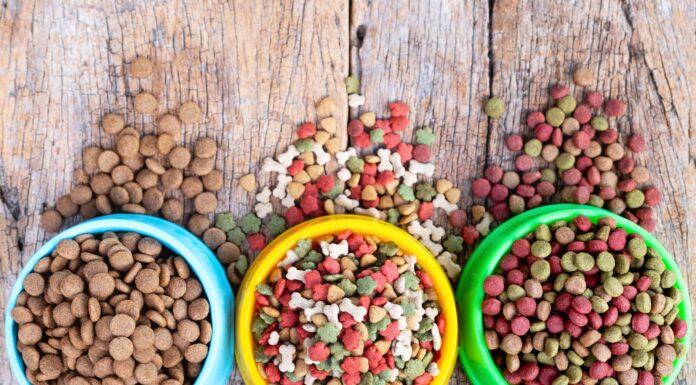 The Ultimate Guide to Finding the Best Tasting Dog Food Your Pup Will Love Best Tasting Dry Dog Food of 2024