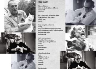 The Beauty of Charles Bukowski Cat Poem: A Raw, Honest Tribute to Feline Companions Bukowski's Cat