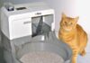Why Is Your Cat Sitting in Litter Box After Surgery? Understanding Post-Op Behaviors Cat sleeping in litter box after surgery : r/Pets