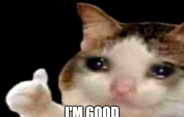 I Am Good Kitty: A Purr-fect Guide to Understanding Your Feline Friend I AM GOOD KITTY Opossum T