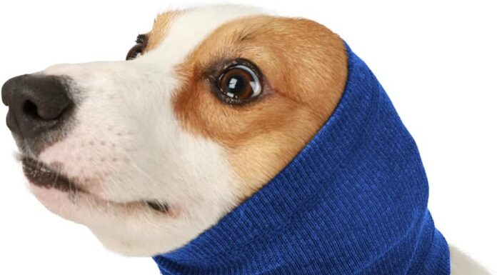 The Ultimate Guide to Dog Ear Hoodies: Style Your Pup with These Adorable Accessories Customized Dog Ears Embroidered Sweatshirt