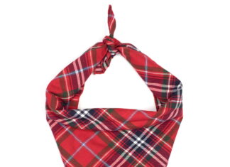 The Ultimate Guide to Plaid Bandana: A Timeless Fashion Statement for Your Furry Friend Plaid Bandana