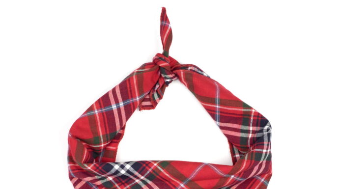 The Ultimate Guide to Plaid Bandana: A Timeless Fashion Statement for Your Furry Friend Plaid Bandana