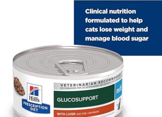 Best Canned Cat Food for Diabetic Cats: A Complete Guide to Healthy Feline Nutrition Good wet foods for diabetic cats? : r/FelineDiabetes